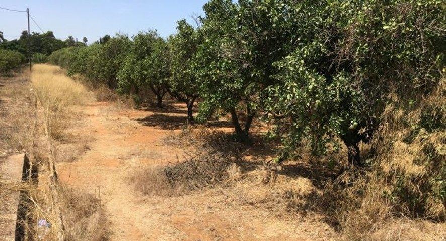 Photo number 4. Land / Ground for sale in Denia. Ref.: PRT-25640