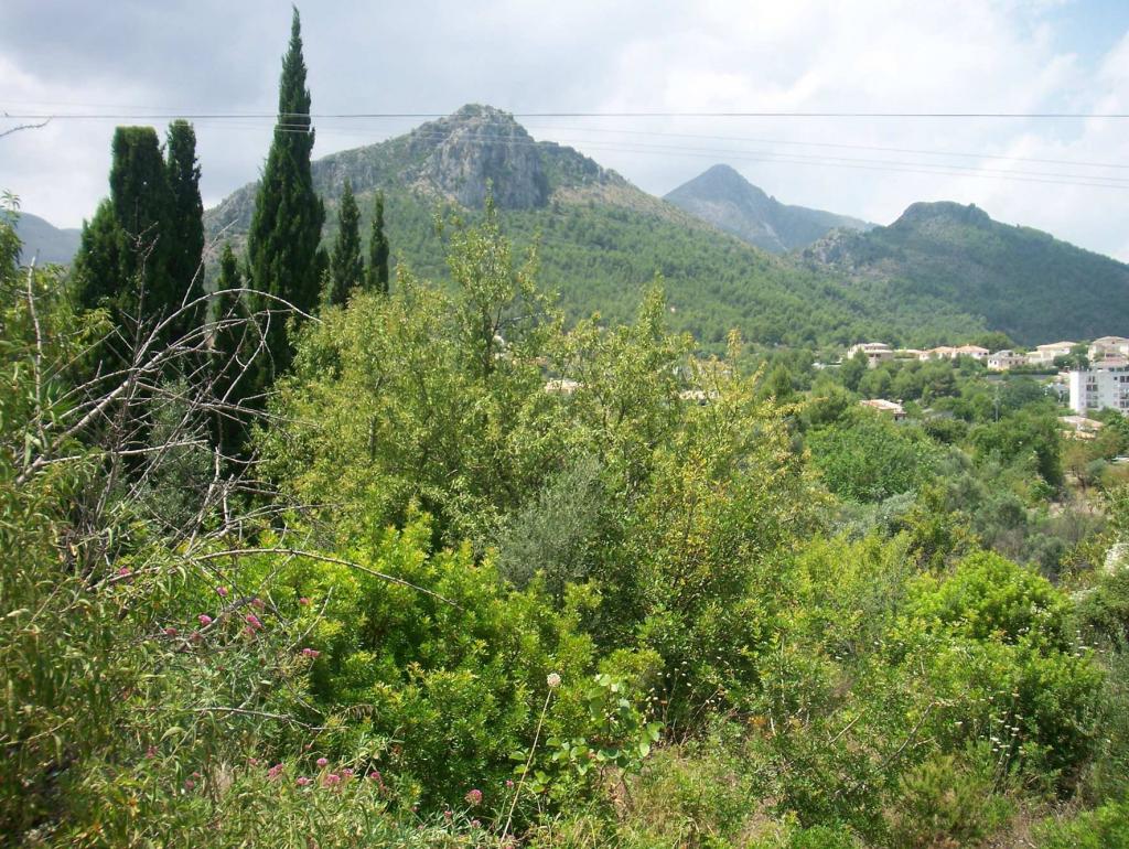 Photo number 1. Land / Ground for sale in Orba. Ref.: PRT-25776