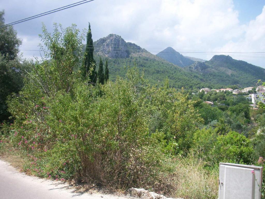 Photo number 3. Land / Ground for sale in Orba. Ref.: PRT-25776