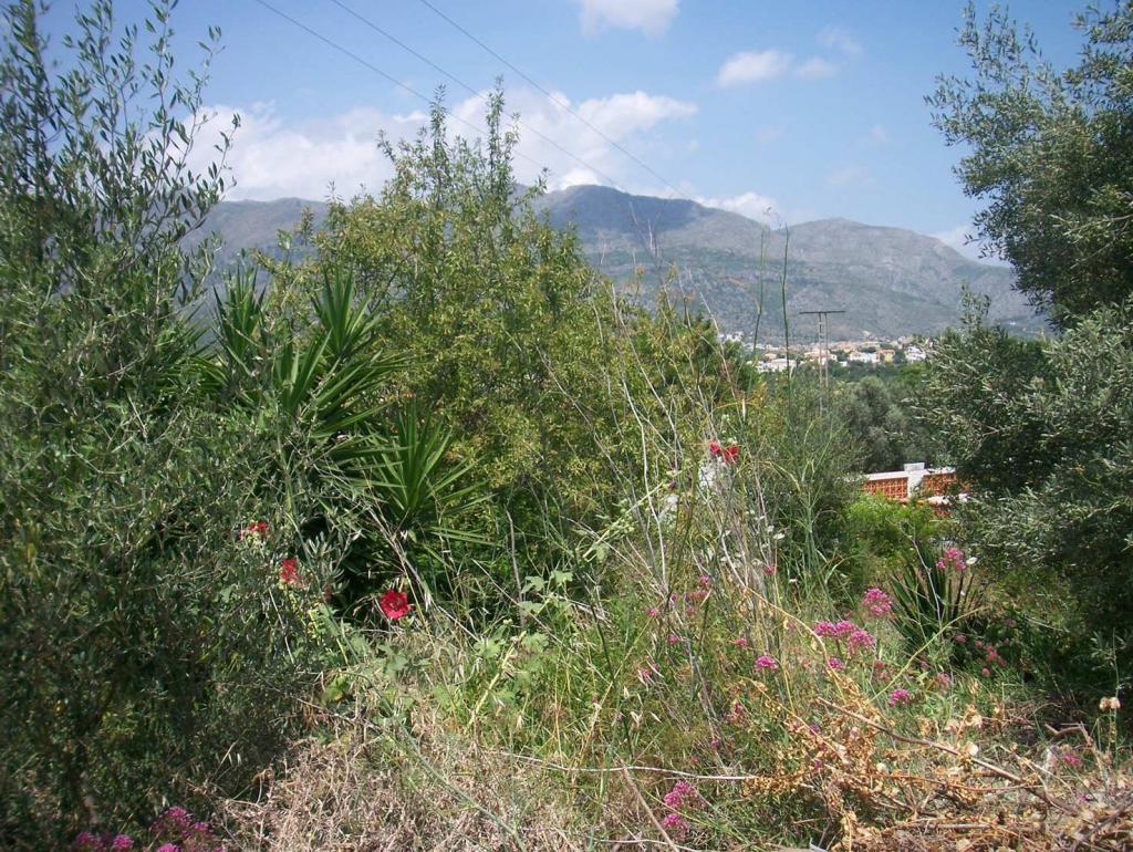 Photo number 5. Land / Ground for sale in Orba. Ref.: PRT-25776