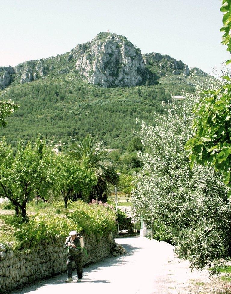 Photo number 4. Land / Ground for sale in Orba. Ref.: PRT-109299