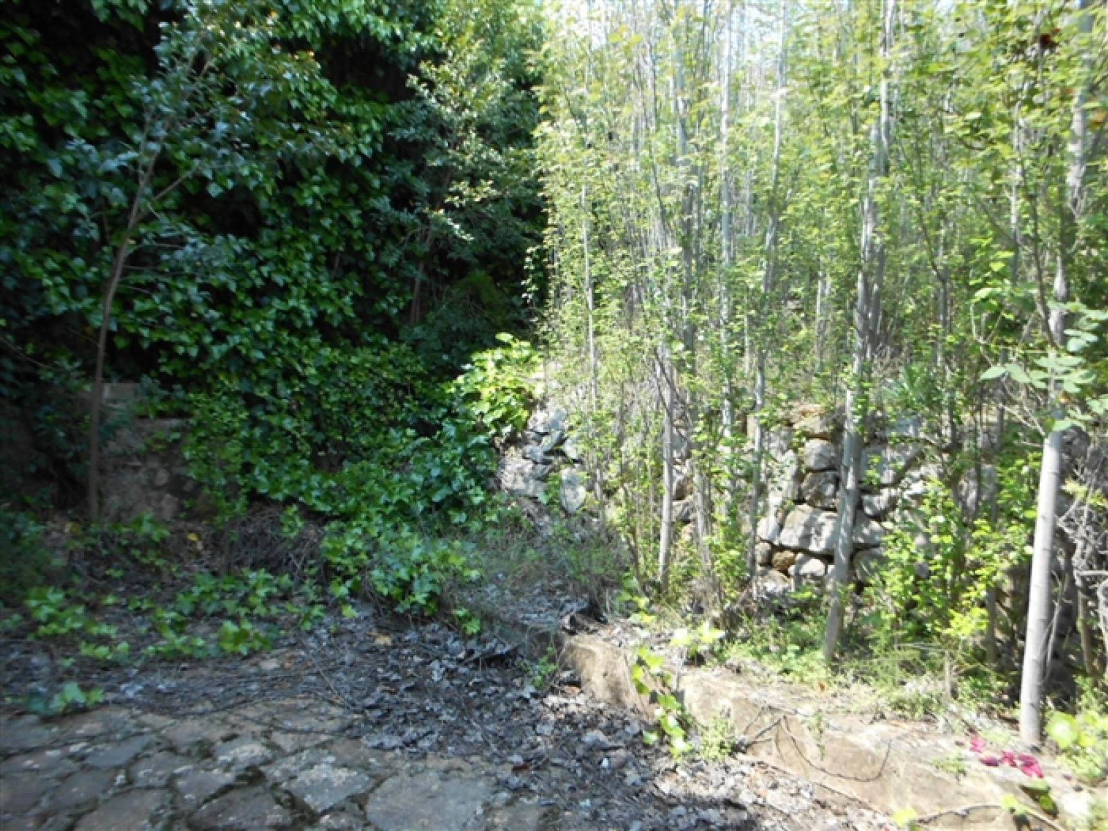 Photo number 5. Village property for sale in Alcalalí. Ref.: SLH-5-18-9070