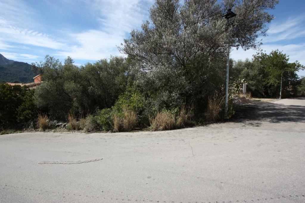 Photo number 10. Land / Ground for sale in Orba. Ref.: PRT-183687