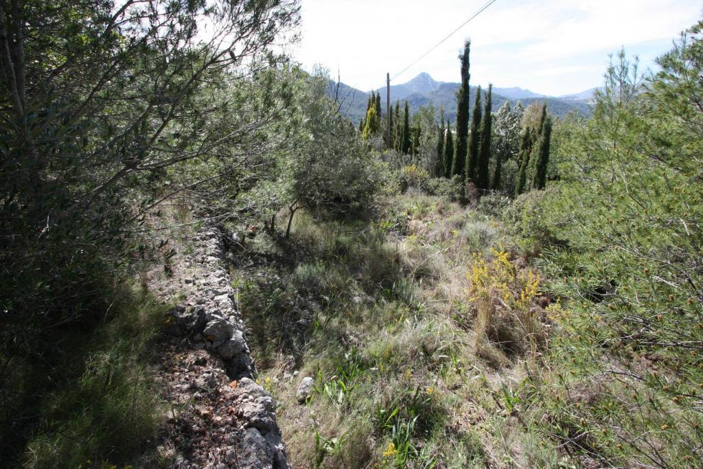 Photo number 7. Land / Ground for sale in Orba. Ref.: PRT-183687