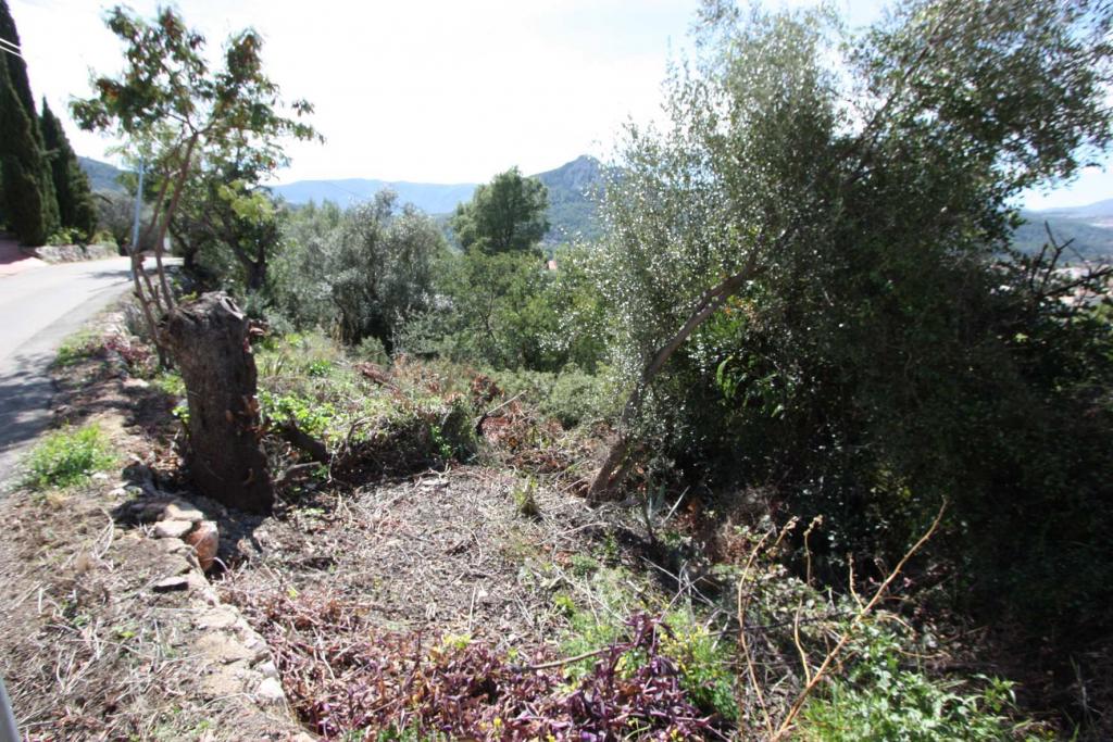 Photo number 9. Land / Ground for sale in Orba. Ref.: PRT-183687