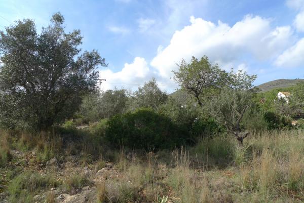 Photo number 3. Land / Ground for sale  in Jalón / Xaló. Ref.: PRT-269905