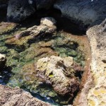 La Cova Tallada