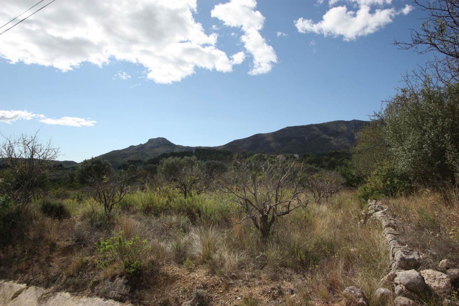 Fotografia nº3 del solar / terreno en Venta en Murla. Ref.: PRT-245184