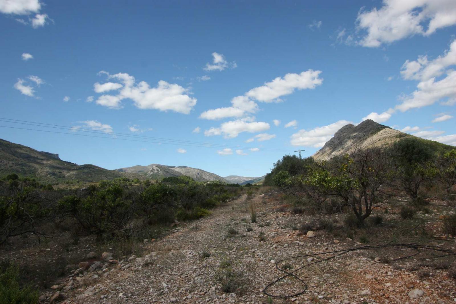 Fotografia nº6 del solar / terreno en Venta en Murla. Ref.: PRT-245184