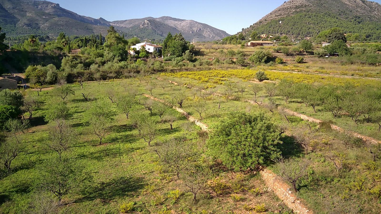 Продается Участок. Номер: PRT-303436