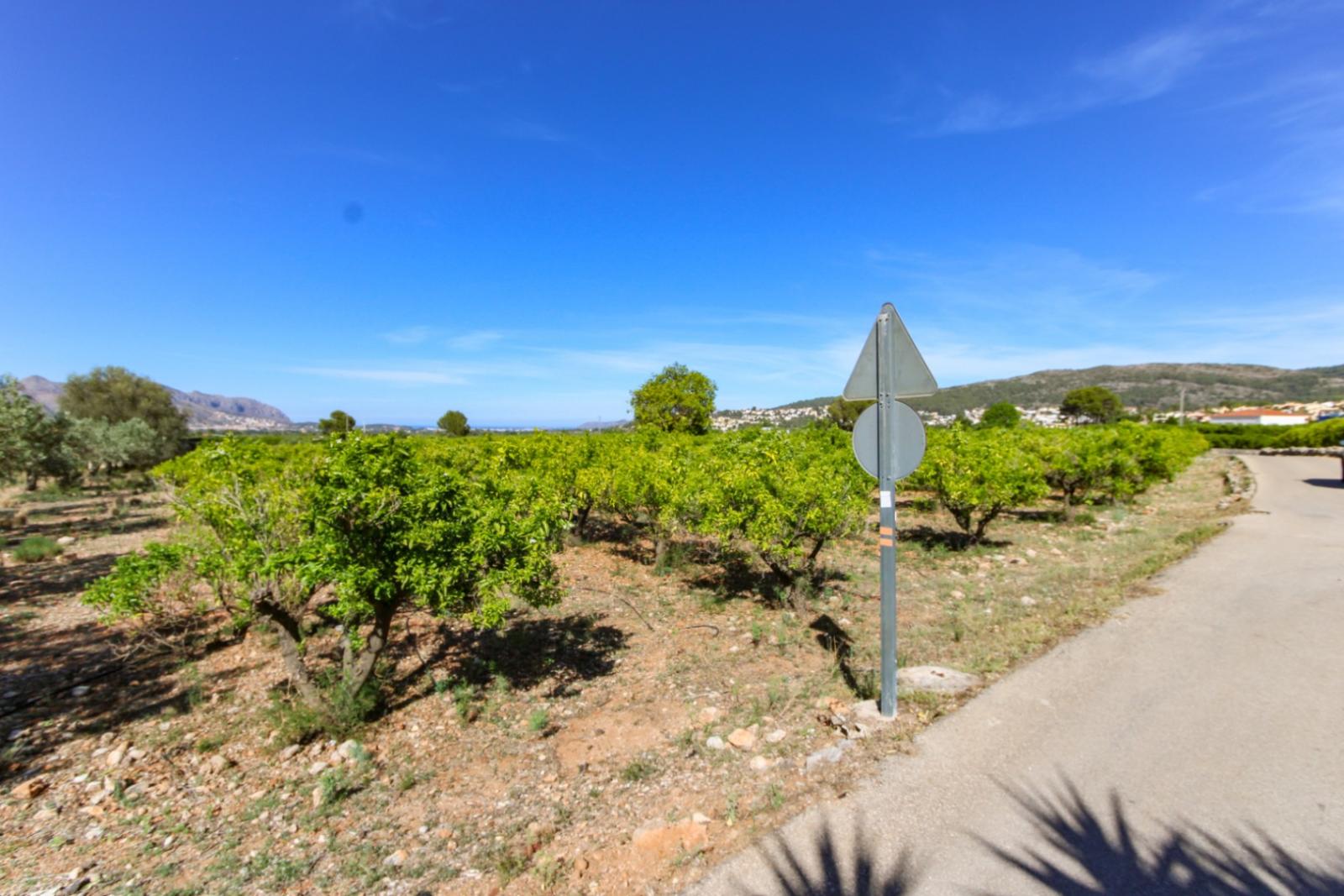 Продается Участок в Orba. Номер: PRT-318792