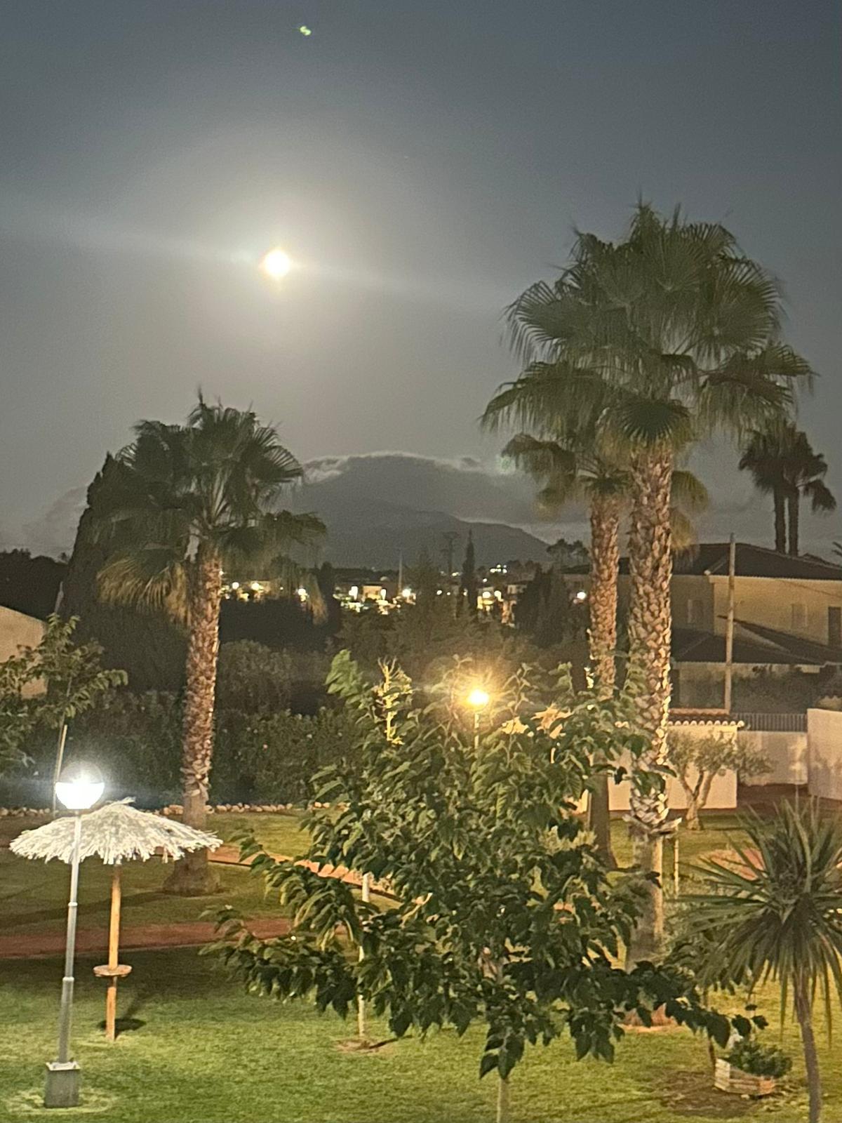 Apartement zu verkaufen  Costablanca, Alicante (Spanien). Ref.: XMI-335357