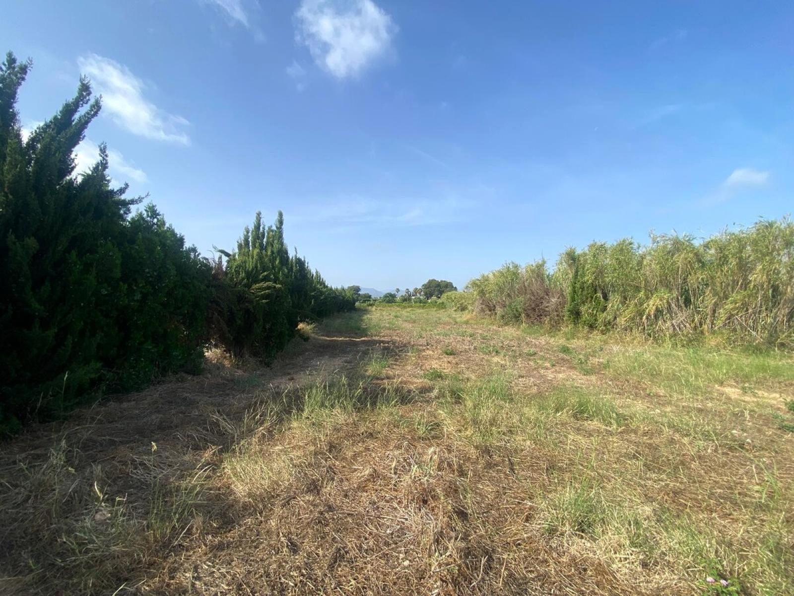 Продается Участок. Номер: SLH-5-50-15841