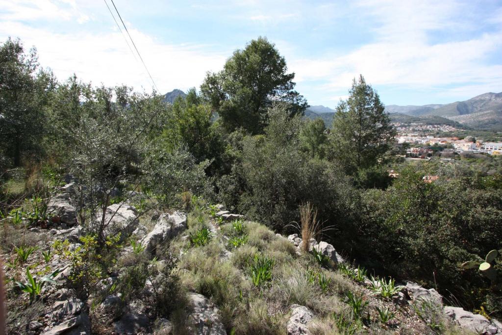 Продается Участок в Periferia, Orba. Номер: PRT-183687