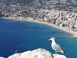 To live in Calpe
